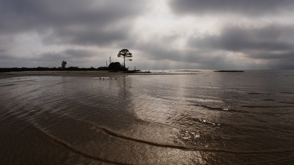 a morning at the beach