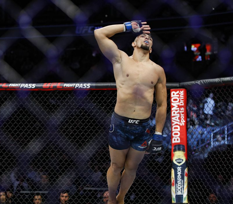 video review : Misha Cirkunov versus Johnny Walker at UFC 235